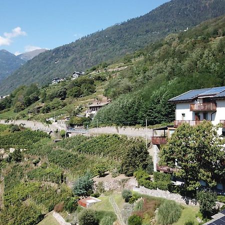 莱蒂希巴尔兹葡萄酒酒店 Poggiridenti 外观 照片